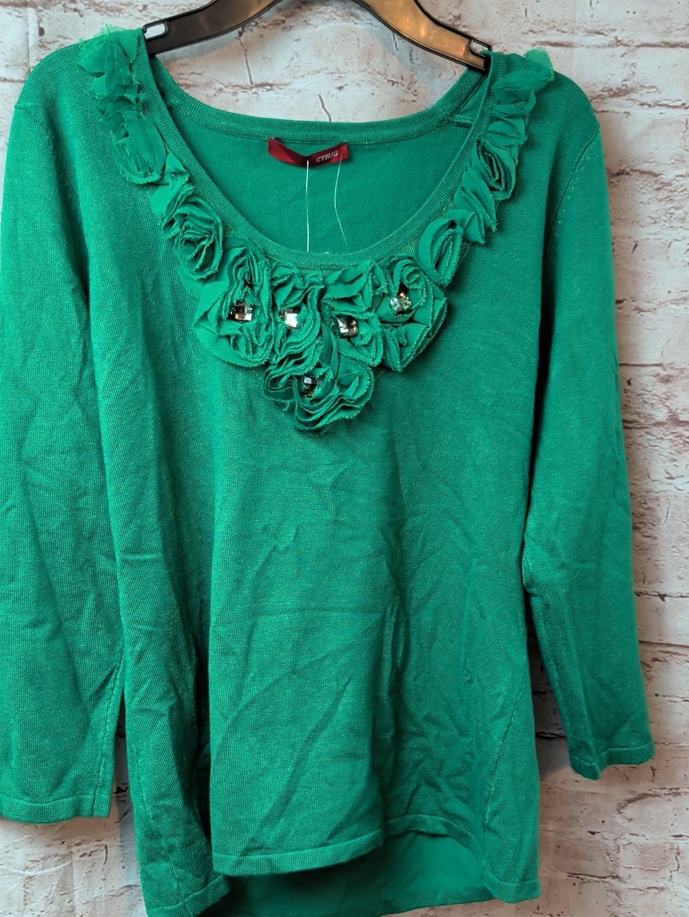 Cyrus Green Embellished Scoop Neck Women's Top Medium New Nwt